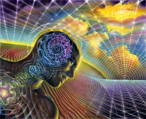 In the Realm of Lucid Dreams